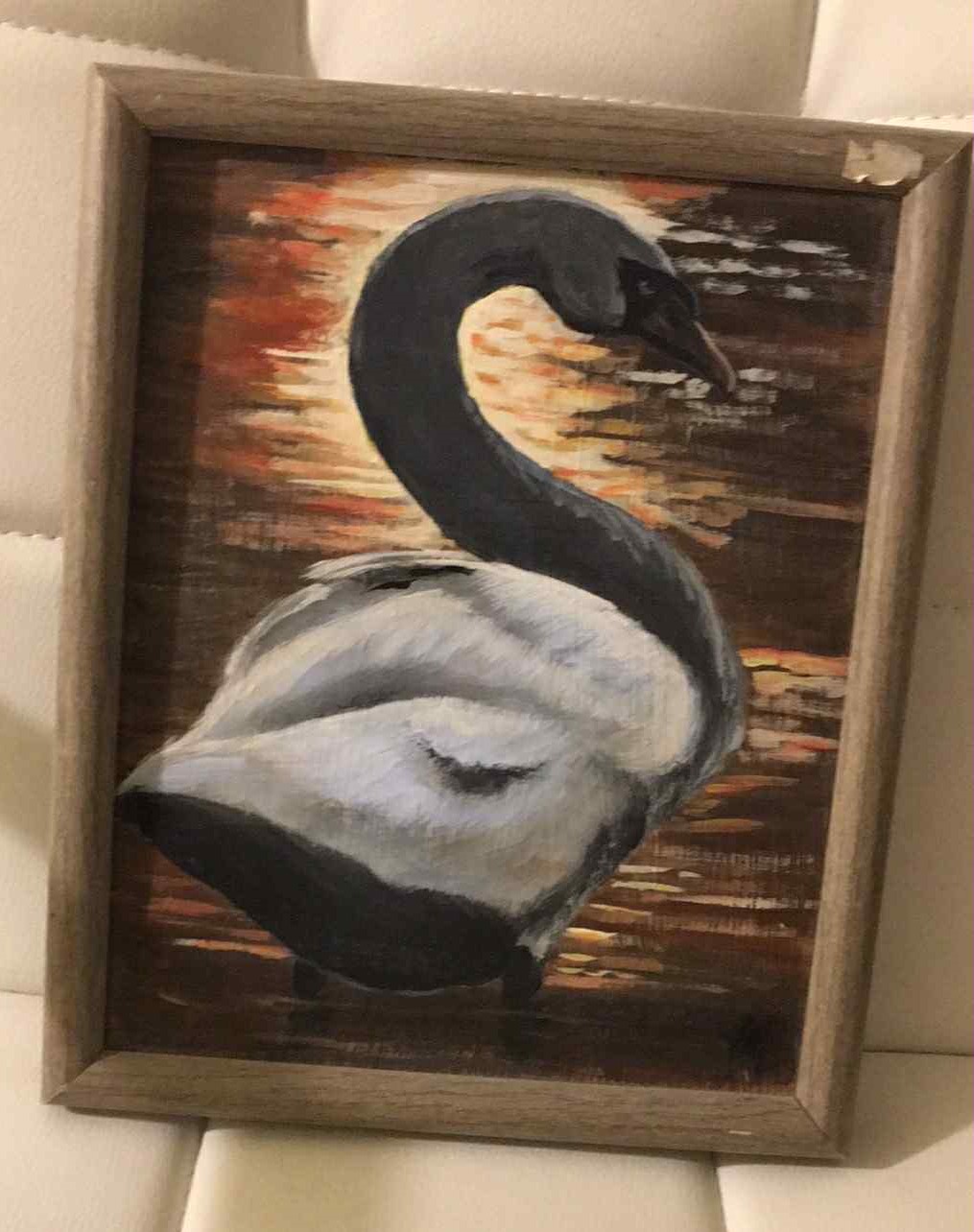 Swan motion study